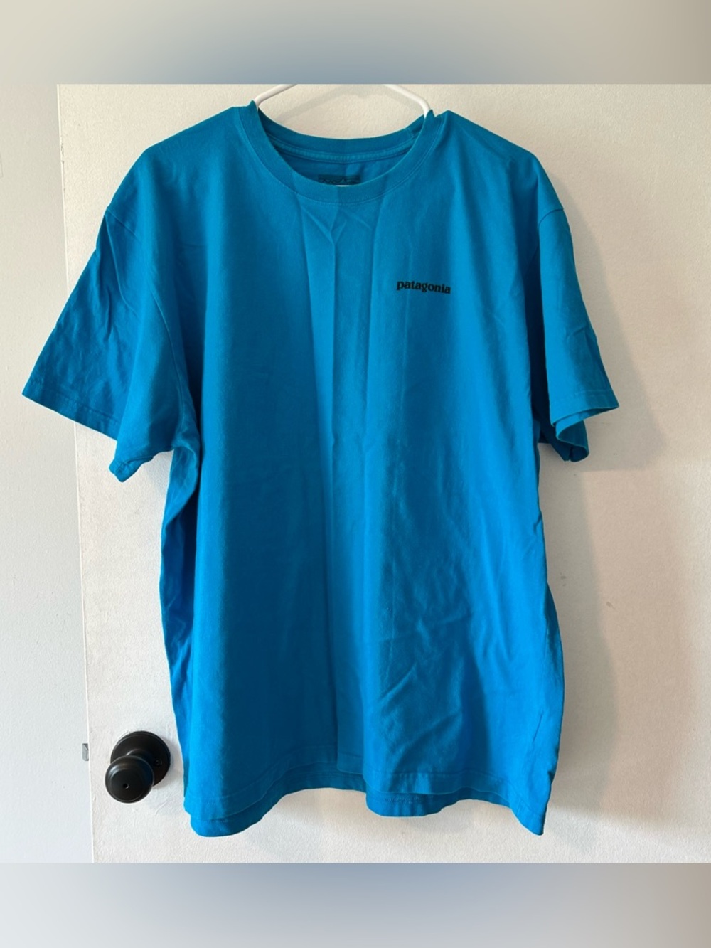 Patagonia T Shirt